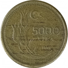5000 лир 1995 Турция из оборота очищенная