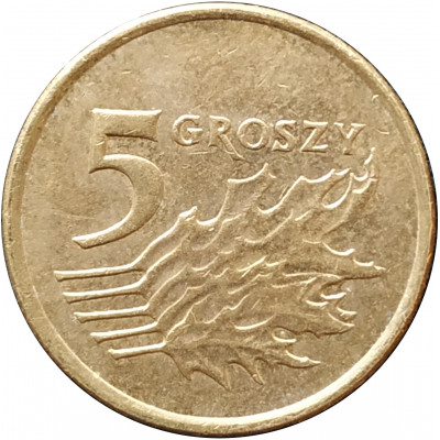 5 грошей 2006 Польша из оборота 5 грошей 2006 Польша из оборота