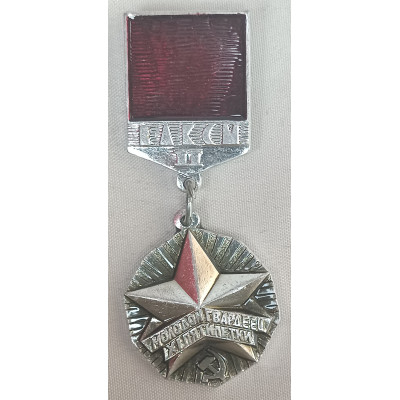 Знак Молодой Гвардеец XI пятилетки. Вторая степень