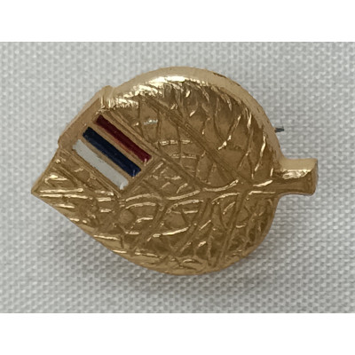 Знак Российского Союза Молодёжи
